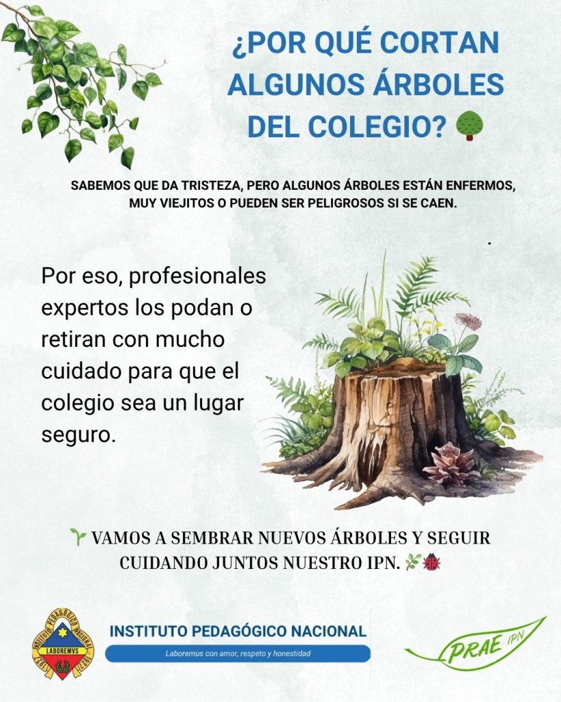 poda de árboles